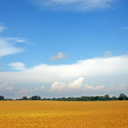 Rural acreage in Hendricks County, IN