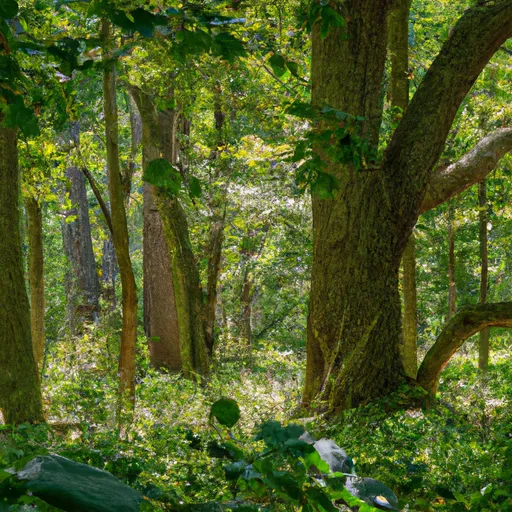 Wooded forest parcel in Lake County, IN